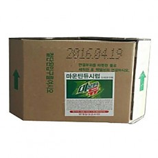 탄산시럽-마운틴(롯데)